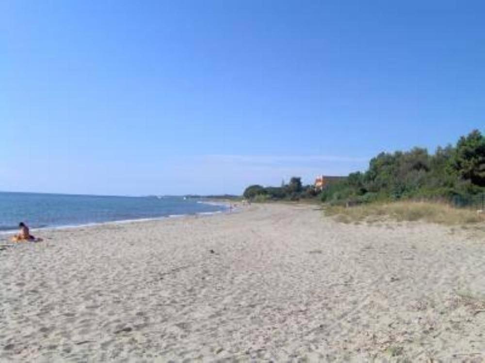 Appartement T2 Bord De Mer - Maria Beach Santa-Lucia-di-Moriani Exteriör bild