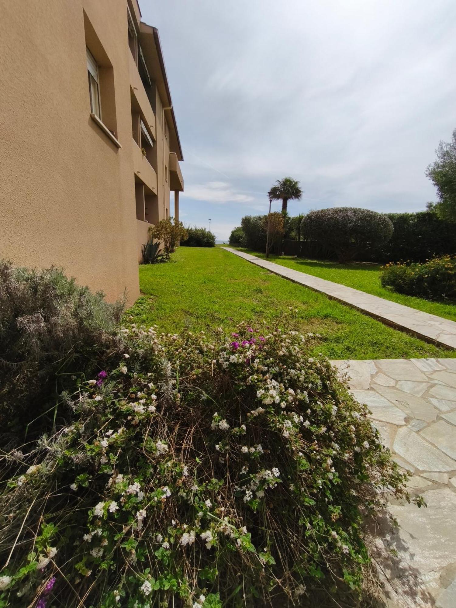 Appartement T2 Bord De Mer - Maria Beach Santa-Lucia-di-Moriani Exteriör bild